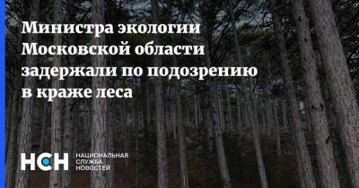 Министра экологии Московской области задержали по подозрению в краже леса