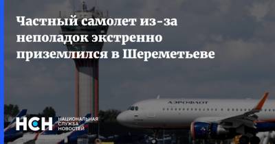 Частный самолет из-за неполадок экстренно приземлился в Шереметьеве
