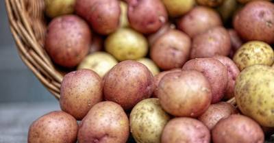 Украина начала импортировать польский картофель