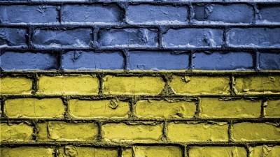 Однофамилец украинского блогера потребовал закрыть «Партию Шария»