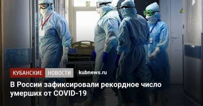 В России зафиксировали рекордное число умерших от COVID-19