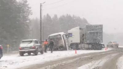 В Ленобласти в результате ДТП с автобусом и грузовиком погиб человек