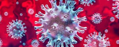 В 13 регионах России были обнаружены различные мутации коронавируса