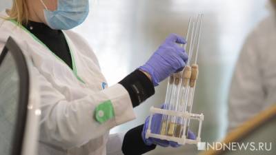 98 случаев: в Курганской области зафиксирован новый коронавирусный рекорд