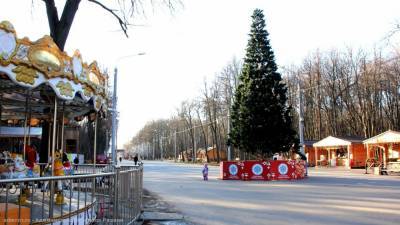 В Рязани установят 30 новогодних ёлок