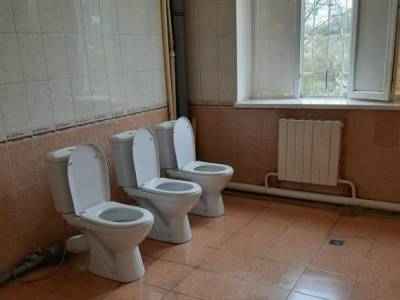 «Острая проблема»: петербуржцы возмущены школьными туалетами без дверей (фото)