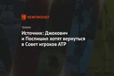 Источник: Джокович и Поспишил хотят вернуться в совет игроков АТР
