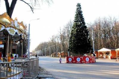 Мэрия назвала места установки новогодних елок в Рязани