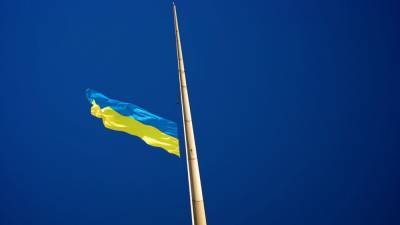 Украину ждут инфляция, дефолт и выкуп долгов, заявил аналитик Гончаров