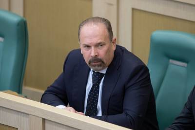 Совфед разрешил задержать аудитора Счетной палаты Михаила Меня по делу о растрате