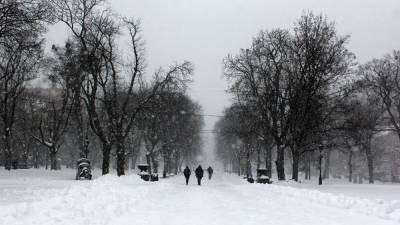 Снега и оттепели: какой будет погода в декабре – прогноз синоптика