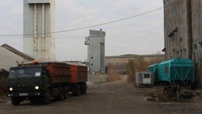 Реалии казахстанского зернового экспорта 2020