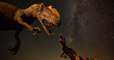 Динозавры не собирались вымирать до падения астероида