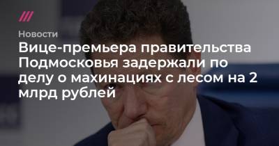 Вице-премьера правительства Подмосковья задержали по делу о махинациях с лесом на 2 млрд рублей