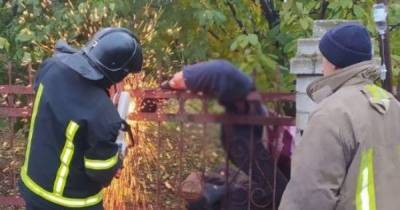 Потерял сознание от боли, истекая кровью: под Одессой мужчина застрял на заборе (фото)