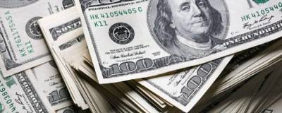 Вместо доллара: Blomberg назвал две валюты на замену