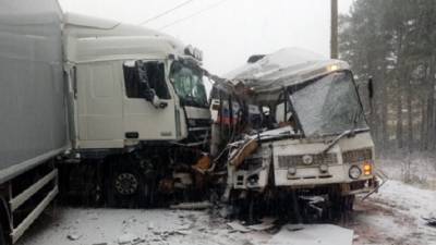 В Ленобласти в ДТП с автобусом и грузовиком один человек погиб, 12 пострадали