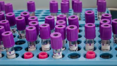 Американская компания Pfizer представит вакцину от COVID-19 в ближайшие дни