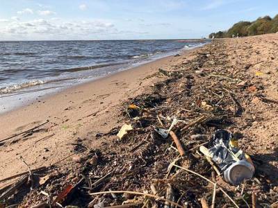 Жители Сестрорецка жалуются на усыпанный мусором пляж