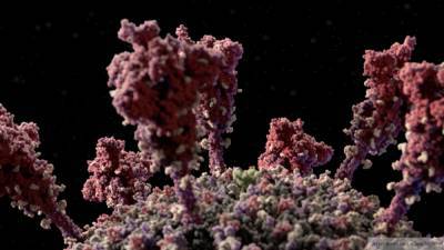 Ученый сообщил о влиянии мутаций коронавируса на организм человека