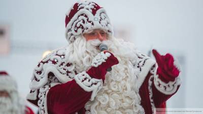 Дед Мороз объяснил, чему 2020 год научил россиян