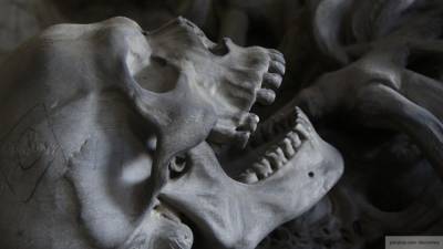 Человеческий скелет был найден в канализации Новосибирска