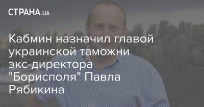 Кабмин назначил главой украинской таможни экс-директора "Борисполя" Павла Рябикина