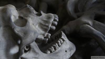Следком подтвердил обнаружение скелета мужчины в канализации Новосибирска
