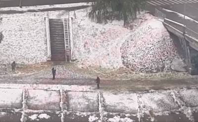 В Киеве сняли, как коммунальщики косили траву под снегом