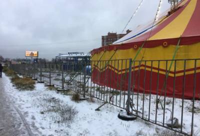Цирк уедет, а штраф? Бродячие артисты рискуют заплатить крупную сумму за самовольный захват земельного участка в Кудрово