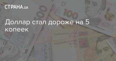 Доллар стал дороже на 5 копеек - strana.ua - Украина