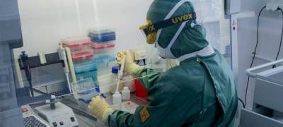 Новые мутации коронавируса выявили в 13 российских регионах