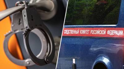 «Мать полностью признала свою вину»: что известно об убийстве двоих детей в Москве