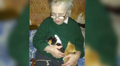 У погибшей в ковид-госпитале ярославны остались восемь кошек