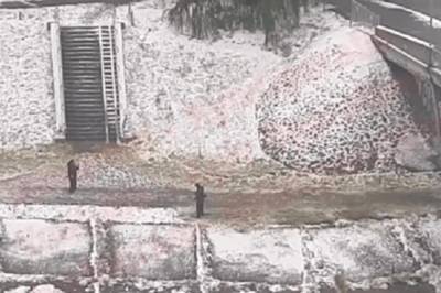 Загадочная миссия: В Киеве заметили коммунальщиков за стрижкой газонов в снег