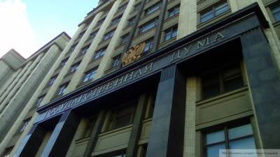 Госдума поддержала проекты о допгарантиях верховенства Конституции РФ