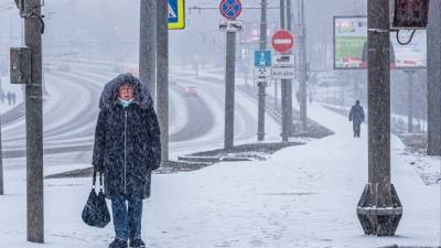К снегопаду в Петербурге оказались готовы только коммунальщики