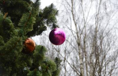 Елки 2021. В Твери установили первое новогоднее дерево