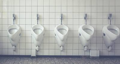 В Латвии стало немного меньше домов без туалета