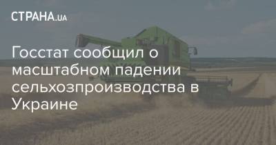 Госстат сообщил о масштабном падении сельхозпроизводства в Украине