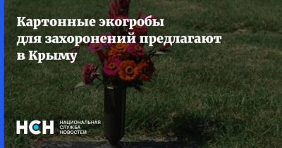 Картонные экогробы для захоронений предлагают в Крыму