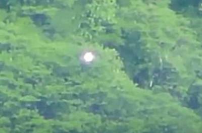 В Мексике над лесом летал загадочный светящийся шар