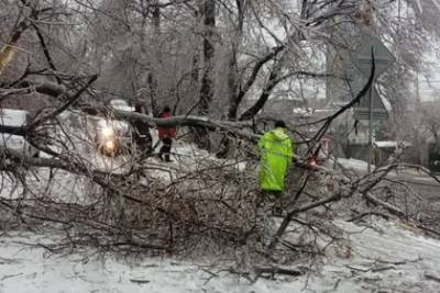 Ледяной дождь во Владивостоке парализовал город
