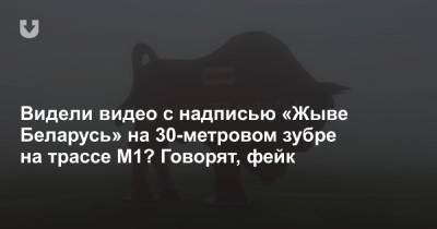 Видели видео с надписью «Жыве Беларусь» на 30-метровом зубре на трассе М1? Говорят, фейк