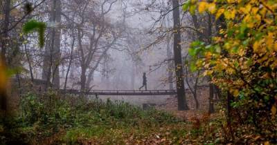 Прогноз погоды на 19 ноября: в Украине будет без осадков, но местами с туманом и морозом