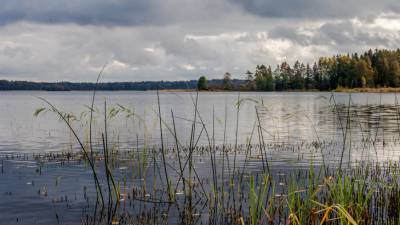 На дне озера в Литве нашли скелет средневекового солдата