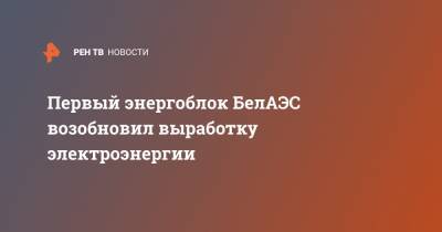 Первый энергоблок БелАЭС возобновил выработку электроэнергии