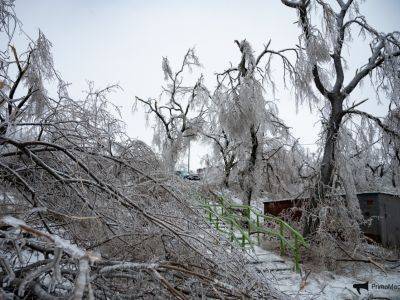 В Приморье из-за ледяного дождя без электричества остались более 100 тысяч человек