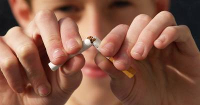 Табак ежегодно убивает более 8 миллионов людей: сегодня в мире День отказа от курения — No Smoking Day