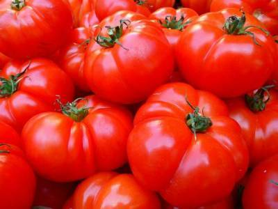 В России за неделю заметно подорожали помидоры и огурцы